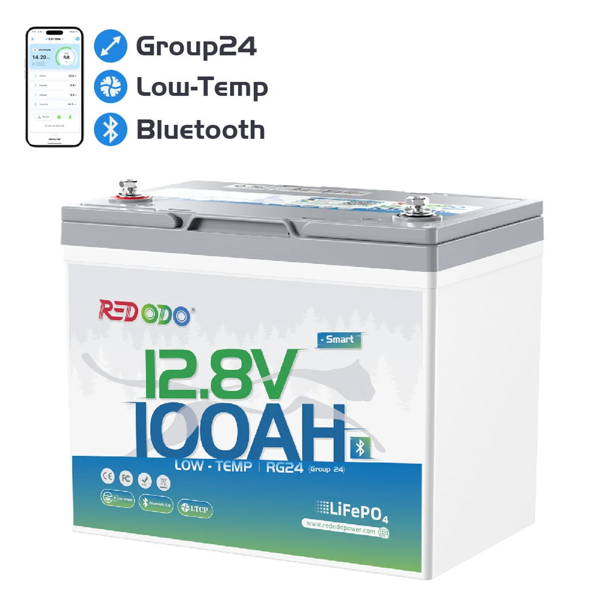 Product image for Redodo 12V 100Ah Group 24 LiFePO4 Battery with Bluetooth