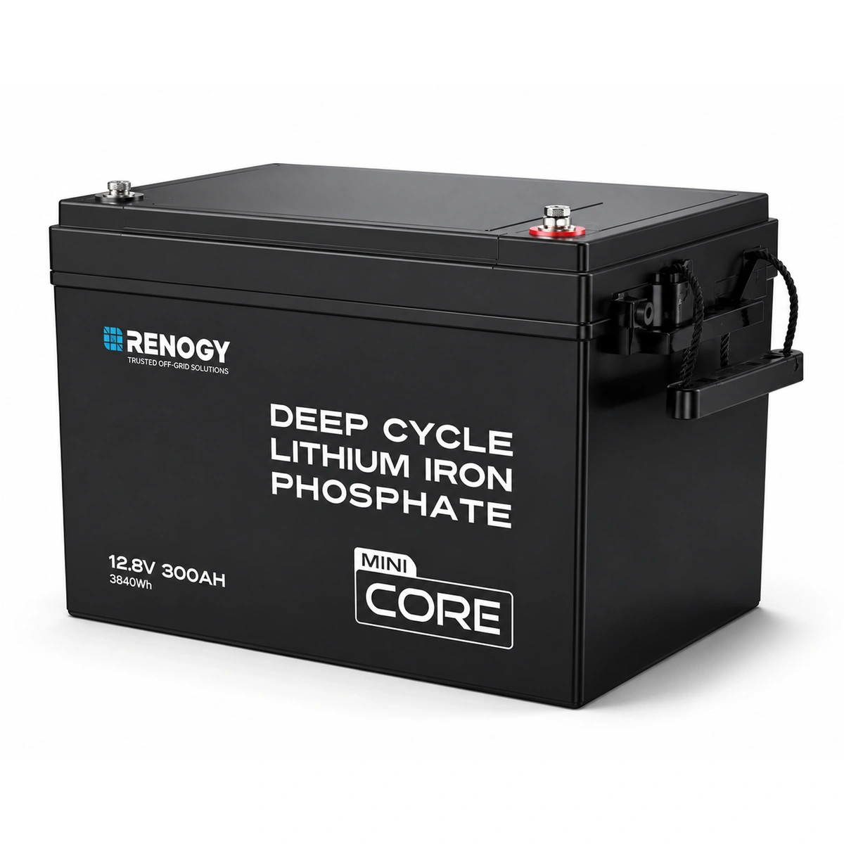 Product image for Renogy 12V 300Ah Mini Size LiFePO4 Lithium Battery
